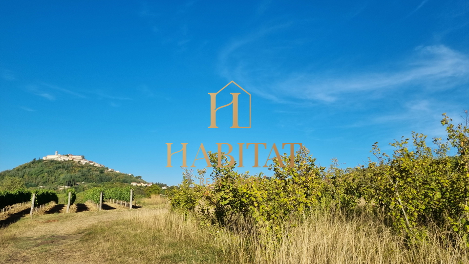 Zemljišče, 4485 m2, Prodaja, Motovun - Brkač