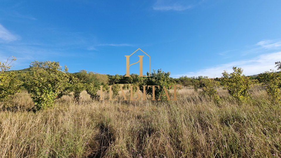 Motovun , zemljiste 4485m2