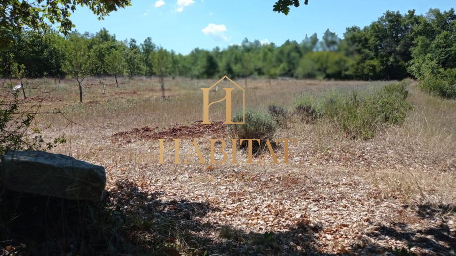 Land, 1400 m2, For Sale, Poreč - Bonaci