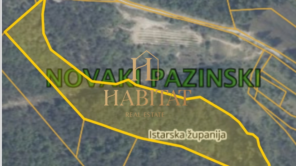 Land, 22650 m2, For Sale, Novaki Pazinski