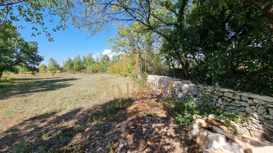 Vodnjan , Landwirtschaftliches Grundstück 8229m2