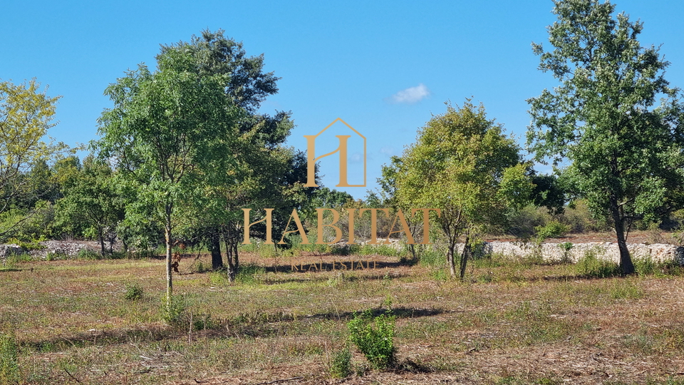 Vodnjan , poljoprivredna parcela 8.229m2