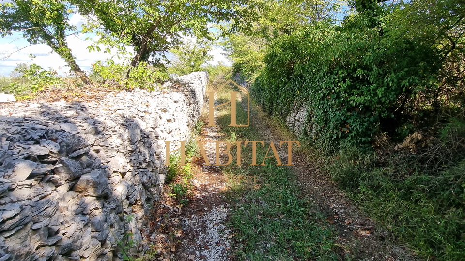 Zemljišče, 8229 m2, Prodaja, Vodnjan