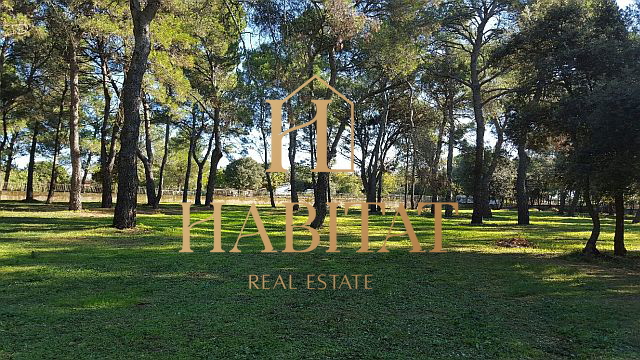 Istria, Rovinj, building land 12058m2, T1, T2, T3, all infrastructure, near the sea