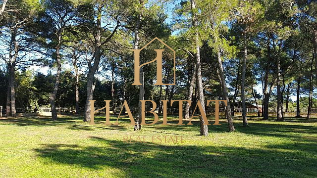 Istria, Rovinj, building land 12058m2, T1, T2, T3, all infrastructure, near the sea