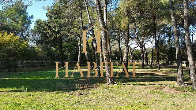 Istria, Rovinj, building land 12058m2, T1, T2, T3, all infrastructure, near the sea