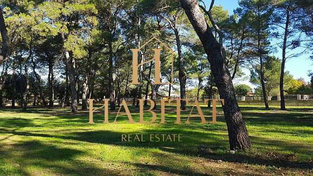 Istria, Rovinj, building land 12058m2, T1, T2, T3, all infrastructure, near the sea