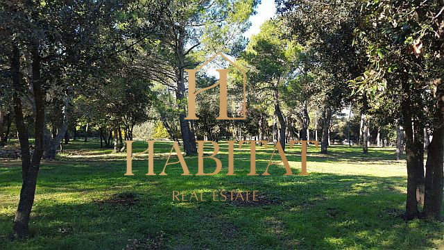 Istria, Rovinj, building land 12058m2, T1, T2, T3, all infrastructure, near the sea