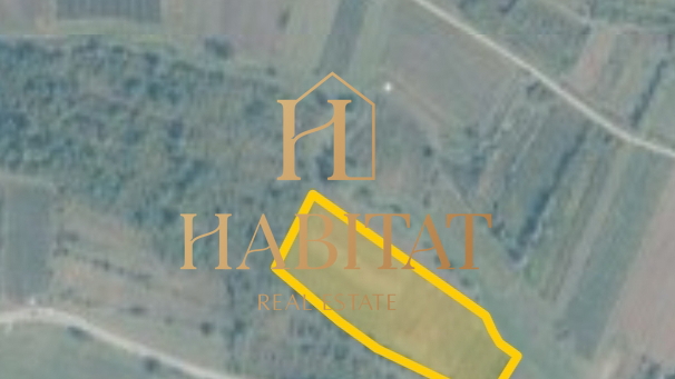 Land, 14858 m2, For Sale, Buje