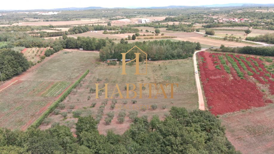 Land, 4000 m2, For Sale, Umag - Petrovija