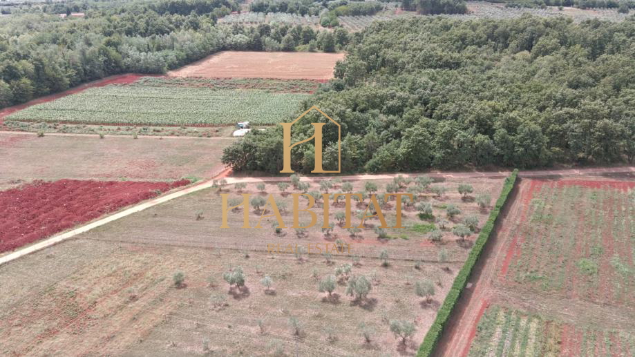 Land, 4000 m2, For Sale, Umag - Petrovija