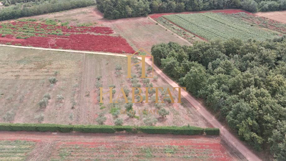 Terreno, 4000 m2, Vendita, Umag - Petrovija