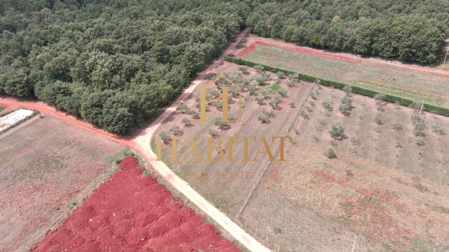 Land, 4000 m2, For Sale, Umag - Petrovija