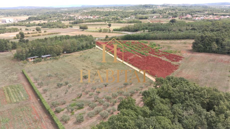 Land, 4000 m2, For Sale, Umag - Petrovija