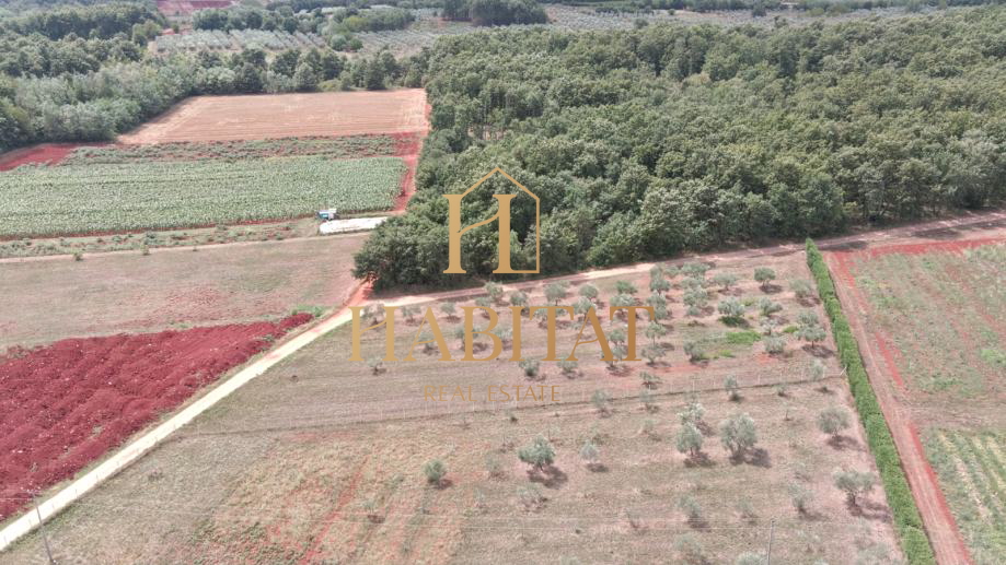 Land, 4000 m2, For Sale, Umag - Petrovija