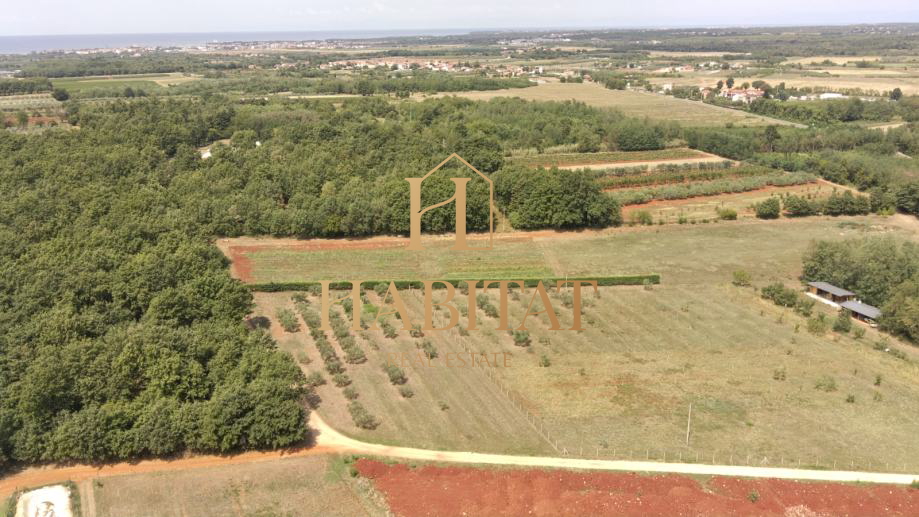 Land, 4000 m2, For Sale, Umag - Petrovija