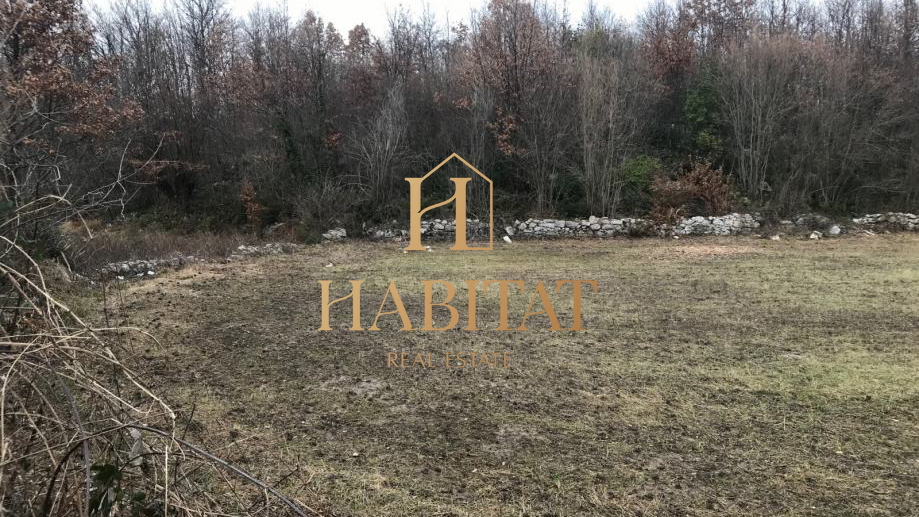 Land, 10958 m2, For Sale, Pićan