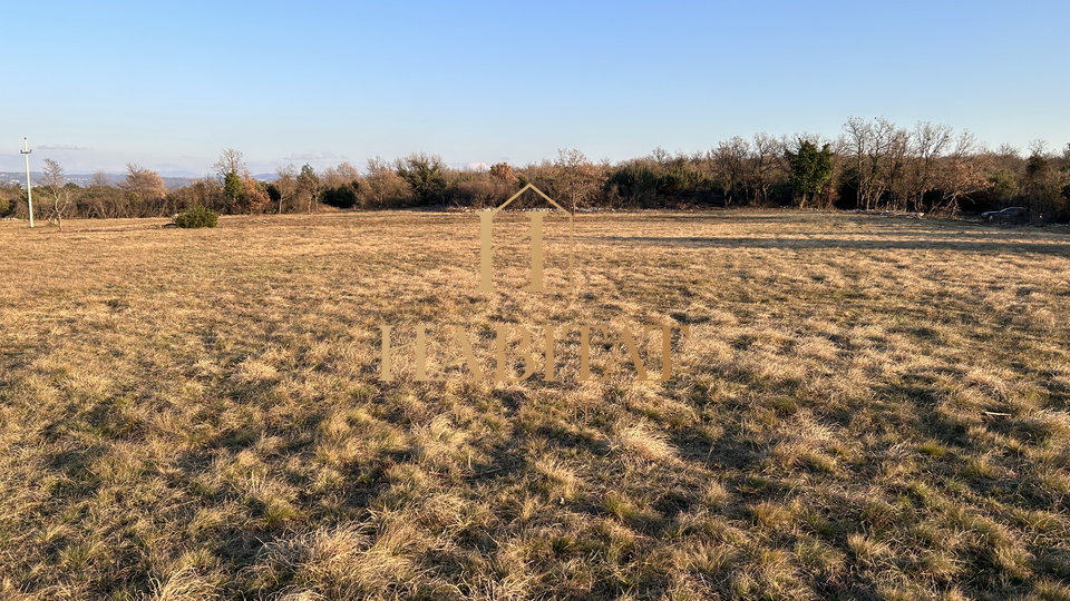 Istrien , Savudrija, landwirtschaftliches Grundstück, Weide 21.258 m2