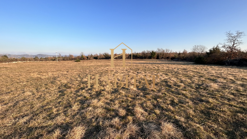 Istrien , Savudrija, landwirtschaftliches Grundstück, Weide 21.258 m2