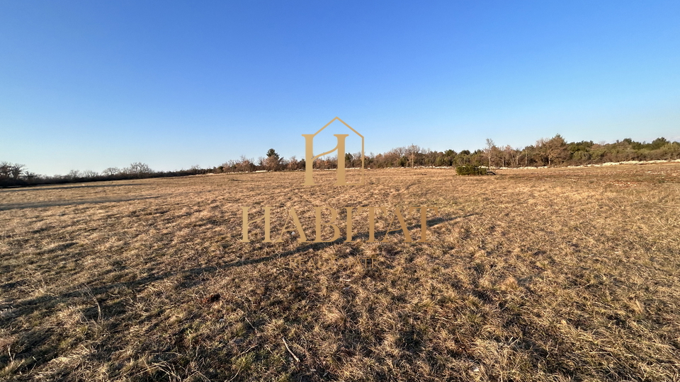 Istrien , Savudrija, landwirtschaftliches Grundstück, Weide 21.258 m2