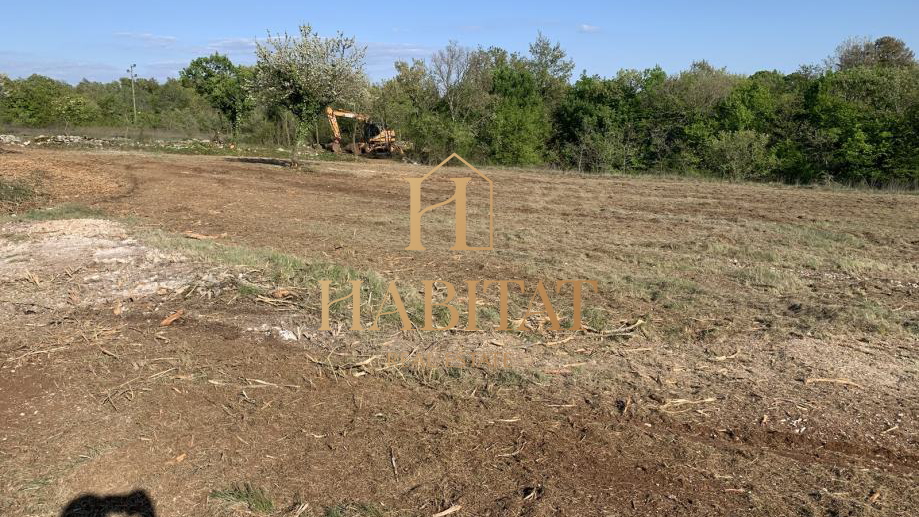 Land, 13780 m2, For Sale, Barban - Petehi