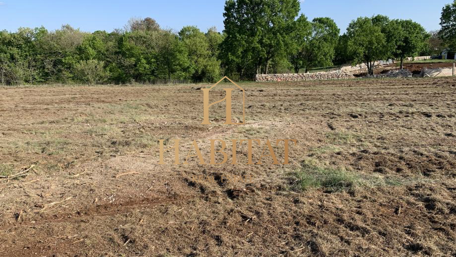 Land, 13780 m2, For Sale, Barban - Petehi