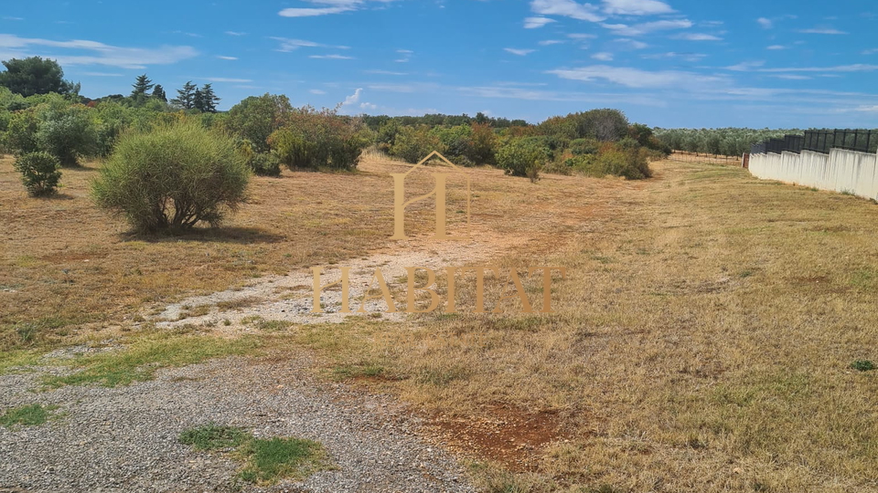 Istra, Peroj, poljoprivredna parcela, u naravi šuma, 514 m2, prodaja