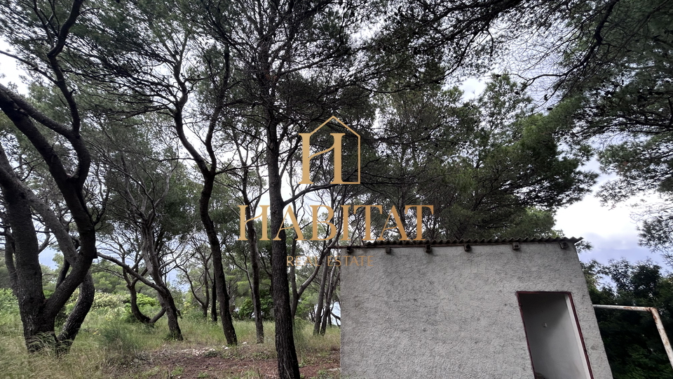 Zemljišče, 19706 m2, Prodaja, Povlja