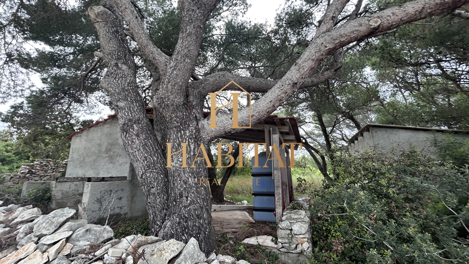 Dalmacija , Brac , zemljiste 19.706m2 , prvi red do mora , 4 objekta na parceli