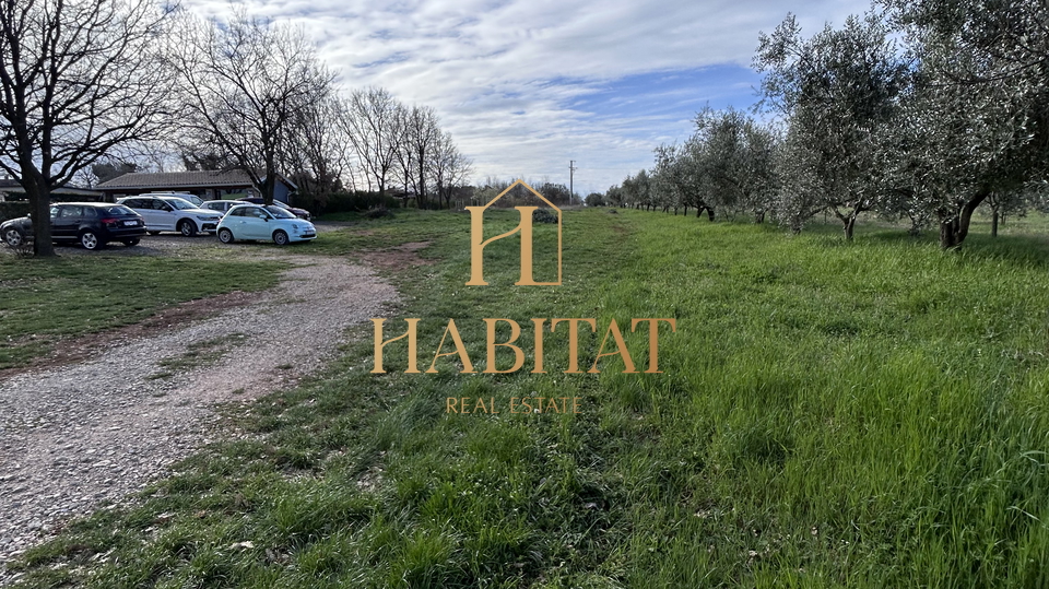 Land, 2500 m2, For Sale, Umag - Petrovija