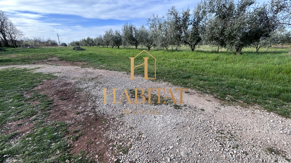 Land, 2500 m2, For Sale, Umag - Petrovija