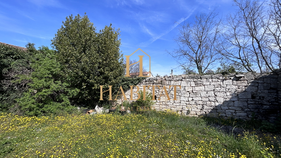 Istrien, Kaštelir, Haus 150m2, Grundstück 545m2, zusätzlich zwei weitere Häuser RUINEN, Meerblick