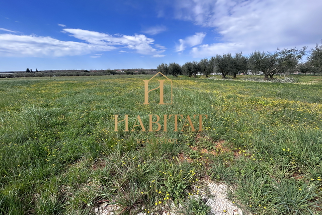 Istrien, Galizana, landwirtschaftliches Grundstück 601m2, zur Urbanisierung eingereicht