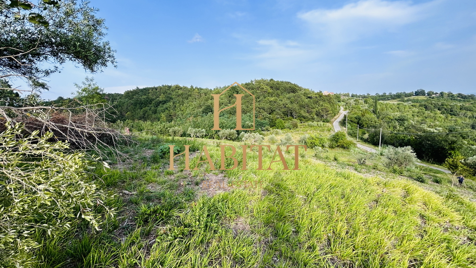 Istra, Krasica, gradbeno zemljišče 2250m2, pogled na morje