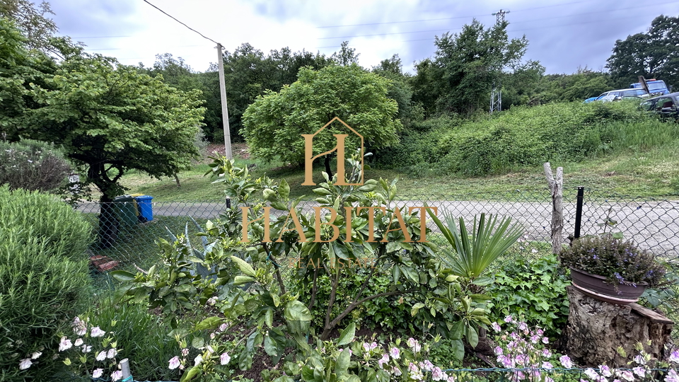 Istria, Plovania, casa doppia su un terreno edificabile di 721m2, 18857m2 di terreno agricolo, bosco