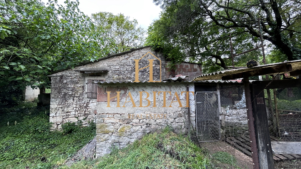 Istria, Plovania, casa doppia su un terreno edificabile di 721m2, 18857m2 di terreno agricolo, bosco