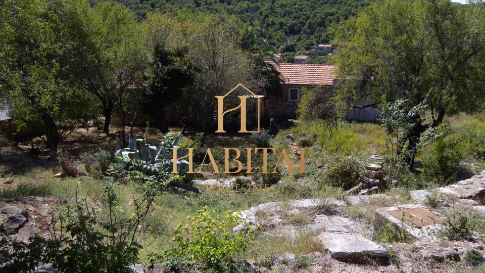 Dalmatia , Hvar , Dol Sv.Ana , house 46m2 with building plot 650m2