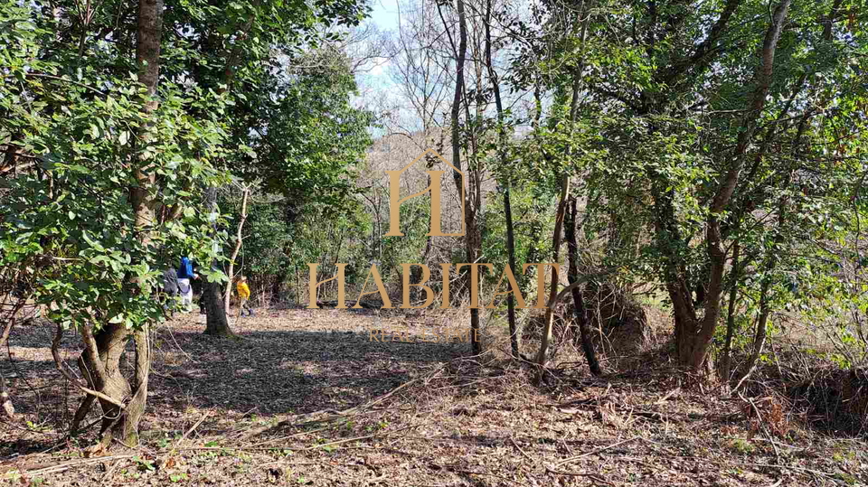 Istrien, Krasica-Gebiet, Baugrundstück 1062 m2, Ruine 200 m2