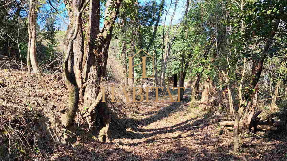 Istrien, Krasica-Gebiet, Baugrundstück 1062 m2, Ruine 200 m2