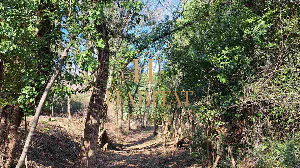 Istrien, Krasica-Gebiet, Baugrundstück 1062 m2, Ruine 200 m2