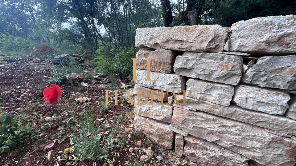 Istria, Dignano, terreno agricolo 1897m2, recintato con muro a secco