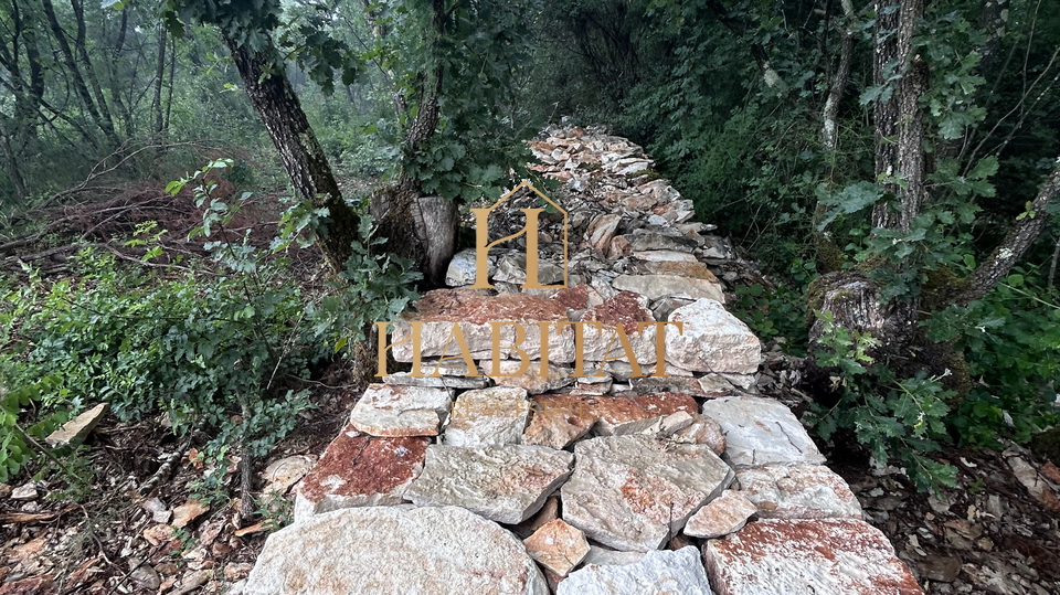 Istria, Dignano, terreno agricolo 1897m2, recintato con muro a secco