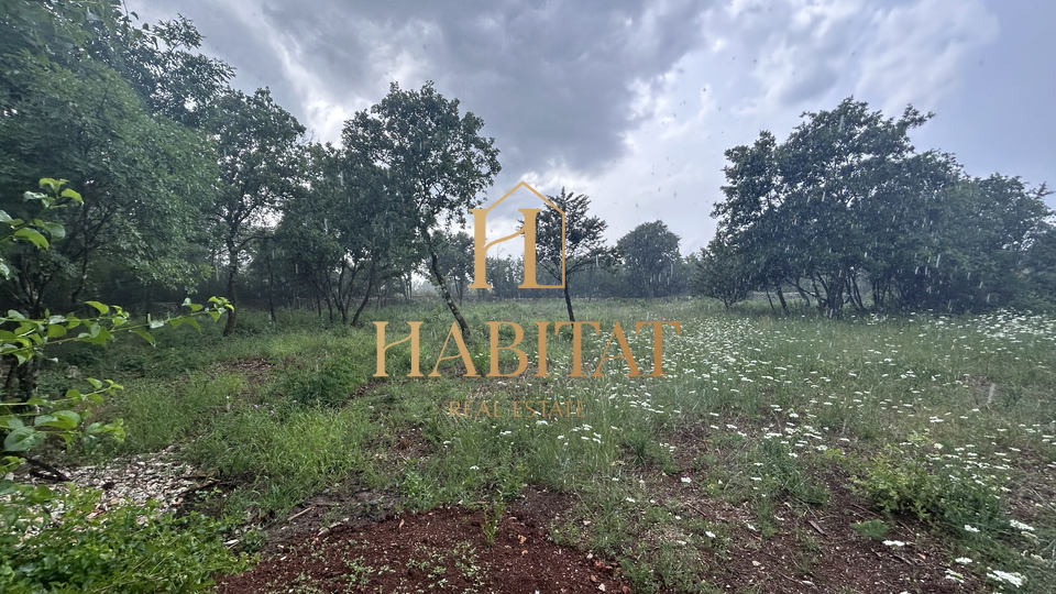 Istria, Vodnjan, agricultural plot 1897m2, fenced with dry wall