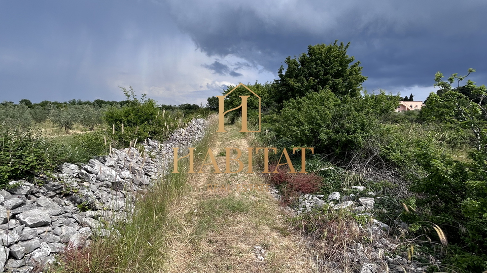 Istra , Vodnjan , gradjevinska parcela 12642m2 , stambeno - poslovna zona , centar , pogled