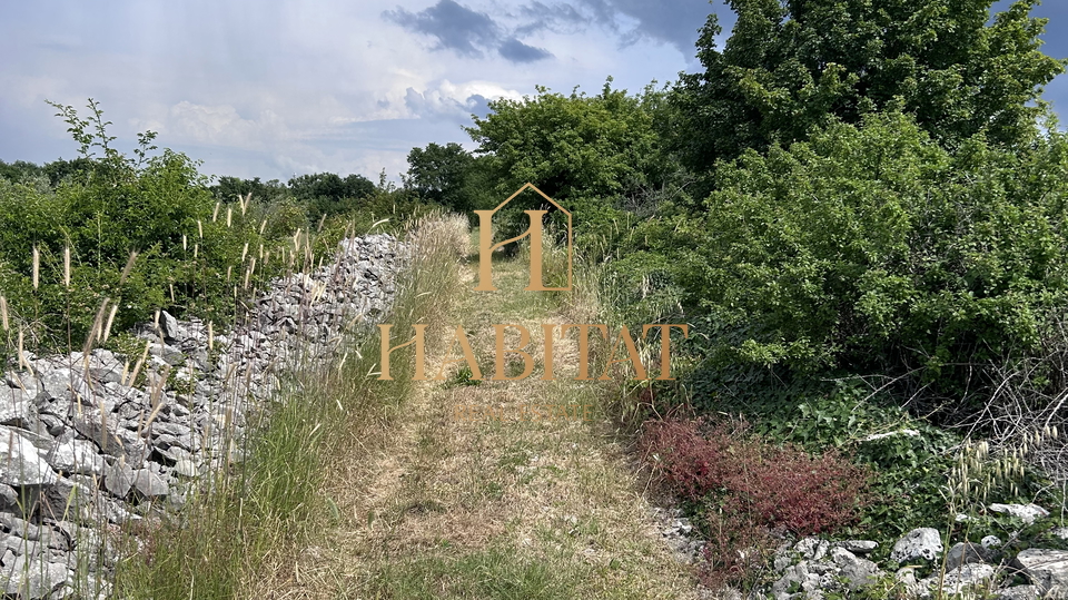 Istra , Vodnjan , gradjevinska parcela 12642m2 , stambeno - poslovna zona , centar , pogled