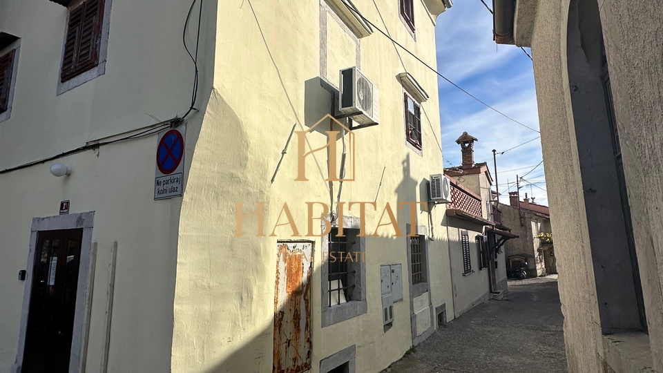 House, 290 m2, For Sale, Kastav