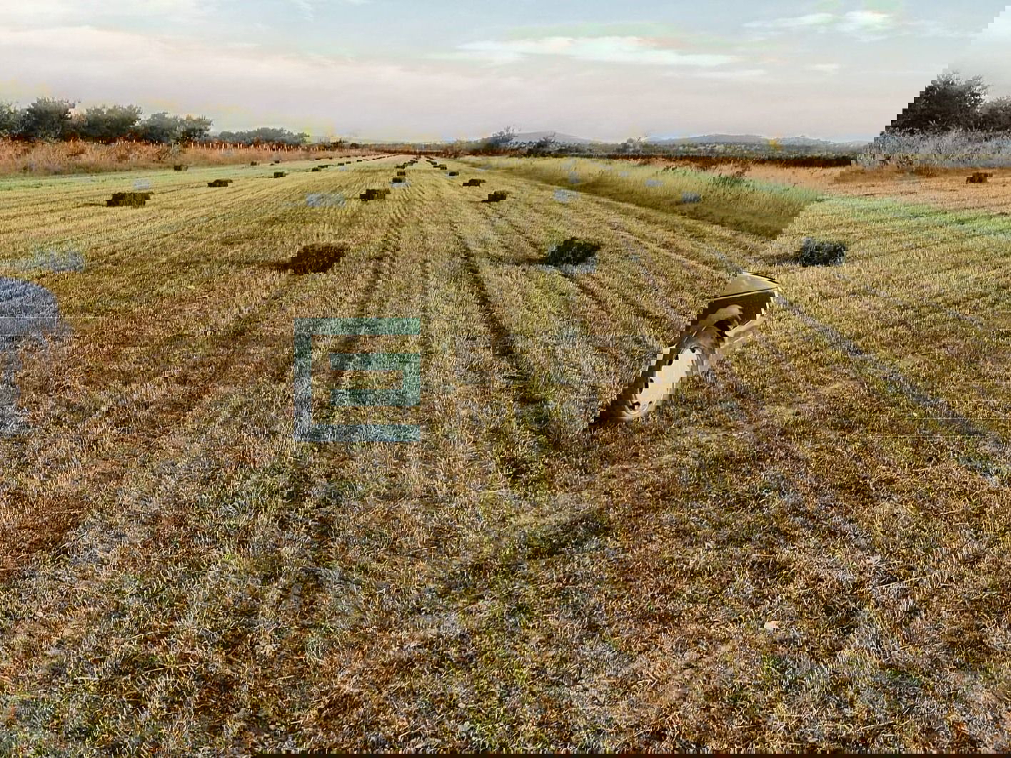 Poljoprivredno zemljište PRODAJA 25.000 m2, Nadin