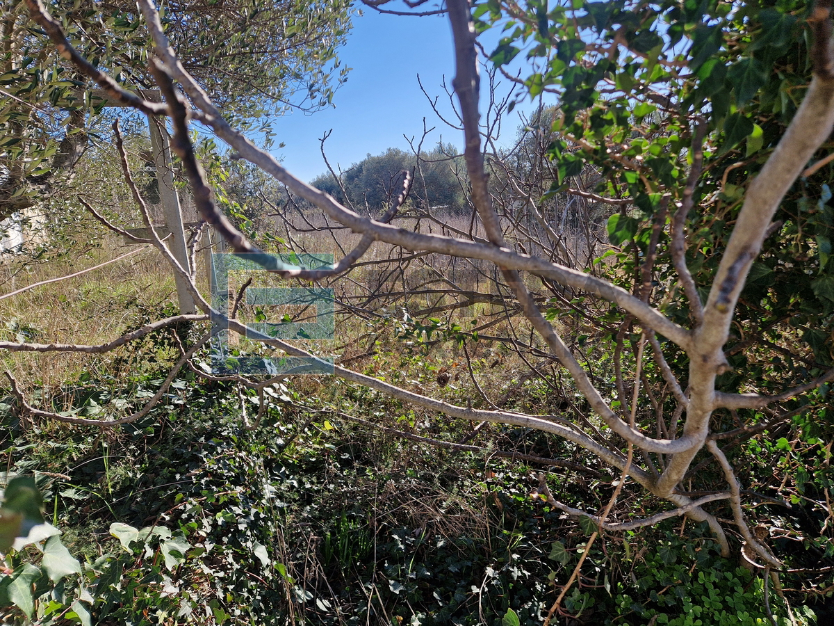 Građevinsko zemljište PRODAJA Biograd na Moru 2600 m2, 80 m od mora, sportsko - rekreativna zona