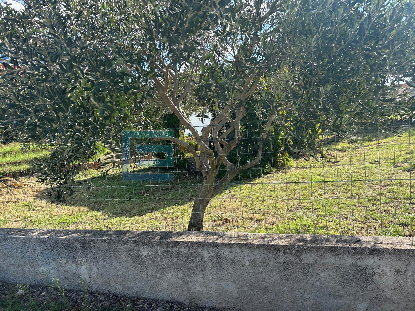 Kuća s bazenom i velikom okućnicom PRODAJA blizina Zadra