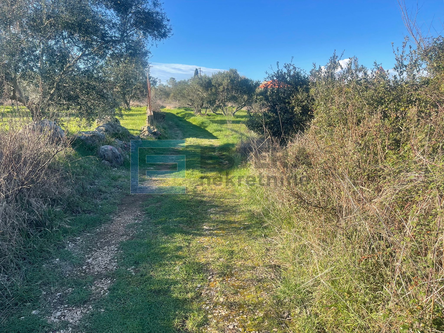 Građevinsko zemljište PRODAJA Mrljane, otok Ugljan 857 m2, 300 do mora